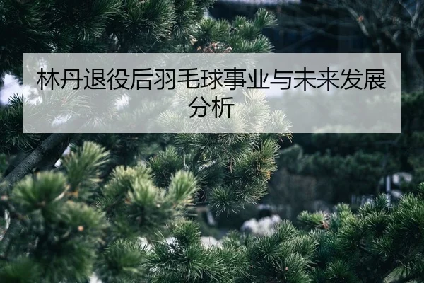lin-dan-tui-yi-hou-yu-mao-qiu-shi-ye-yu-wei-lai-fa-zhan-fen-xi-2-914.jpg